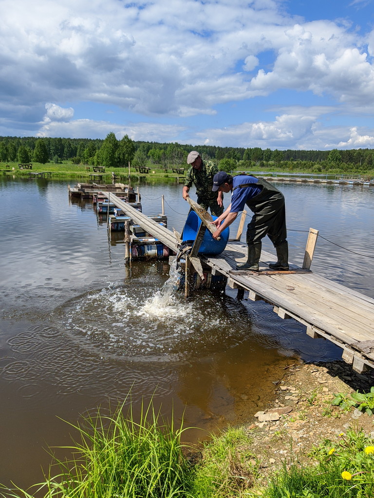 Рыбалка в Свердловской области на Шабровском прудуШабровский пруд – Платная Рыбалка в Екатеринбурге